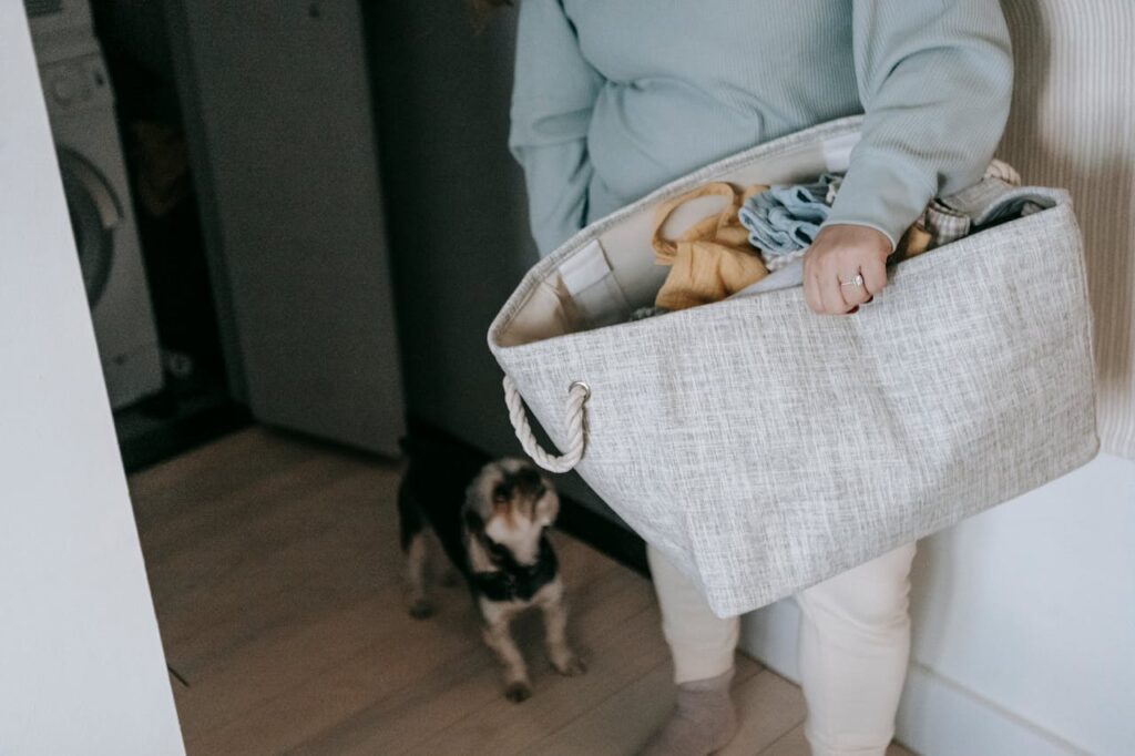 First-Time Pet Parenting