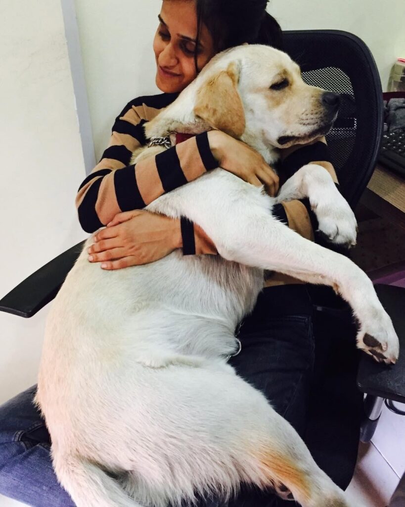 Inspirational Dog Stories