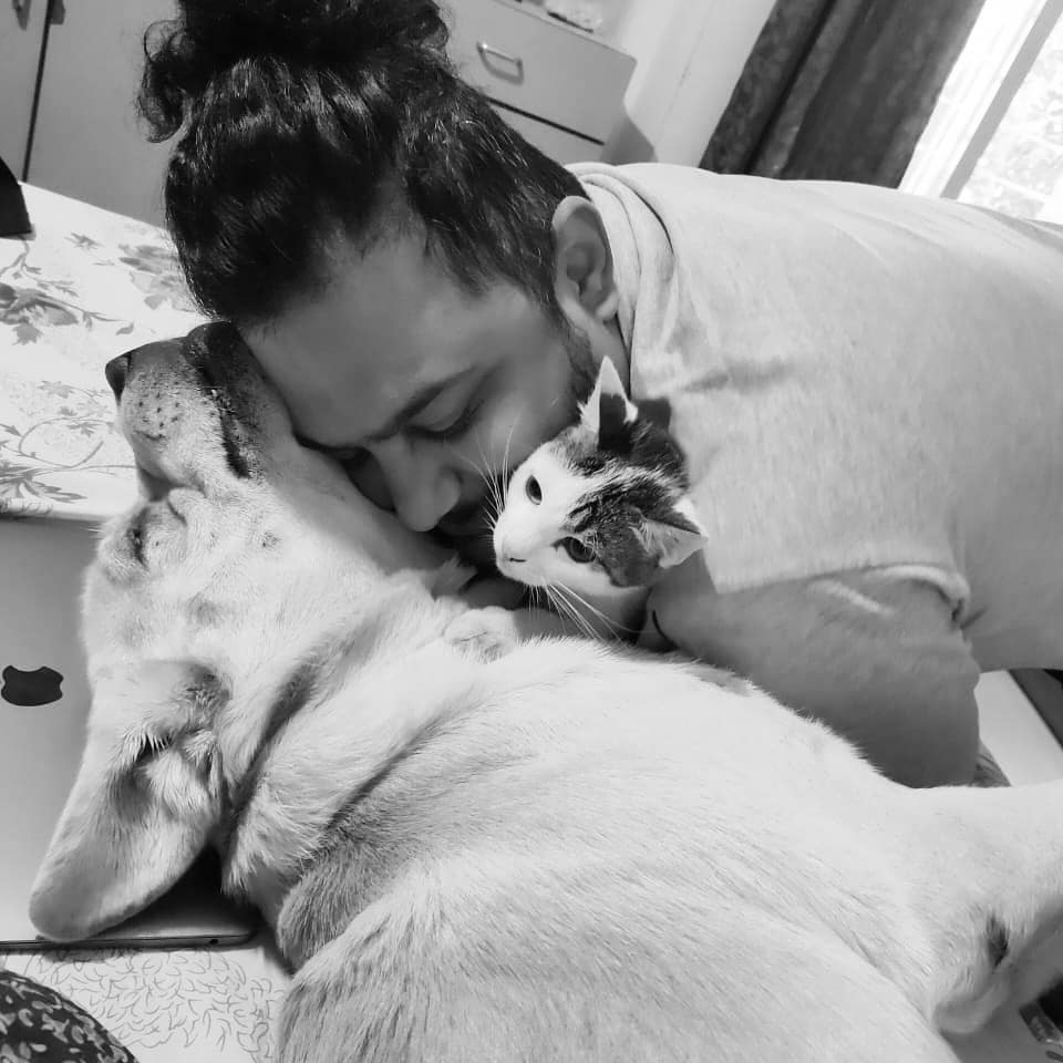 pet parents vs pet owners