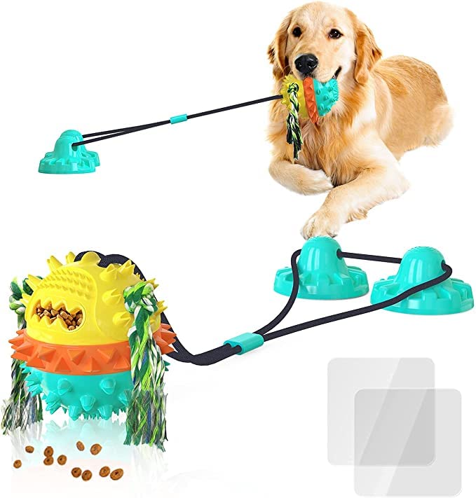 Interactive Dog Toy