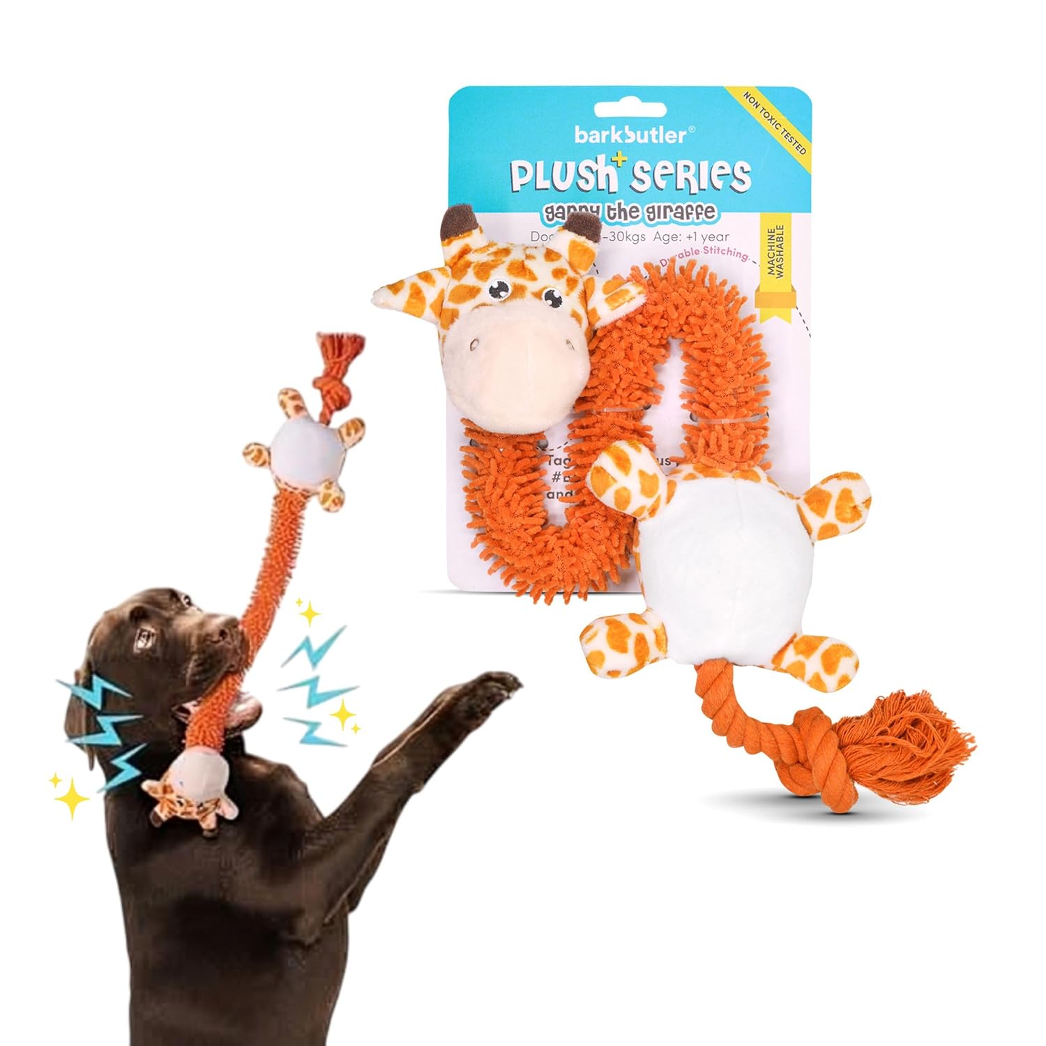 Squeaky Plush Dog Toy